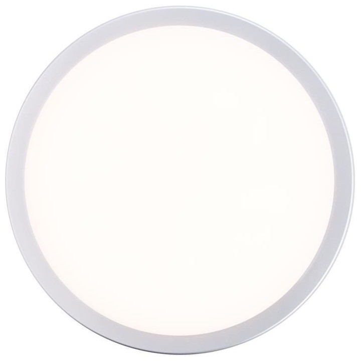 Plafonnier extérieur DEVORA couleur argent LED intégré