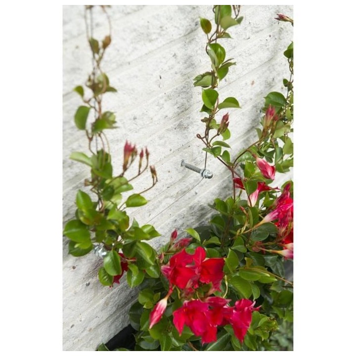 Treillis métallique NATURE 6040760 - Pour plantes grimpantes