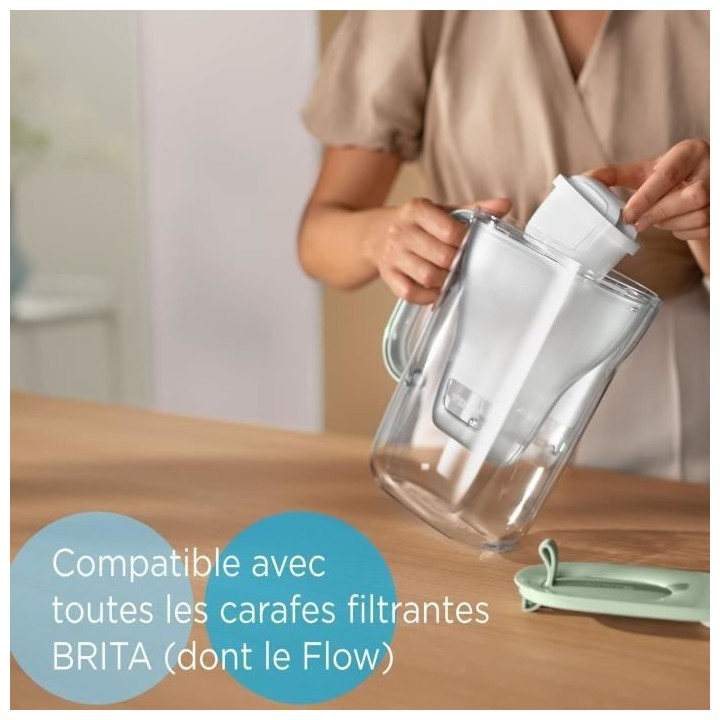 BRITA Pack de 2 cartouches MAXTRA PRO Expert anti-tartre