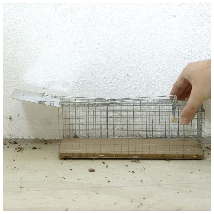 Caussade CARNASSB Nasse a Rat Socle Bois et Grillage Ultra Resistant,