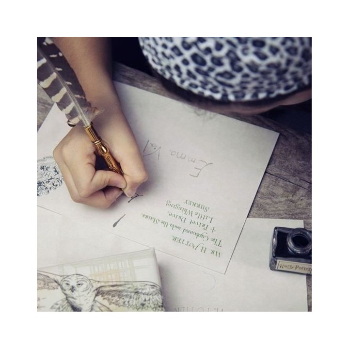 HARRY POTTER Boite cadeau plumier