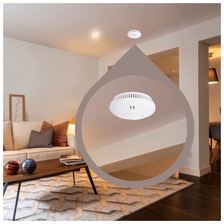 Wireless Smoke Detector WSD301