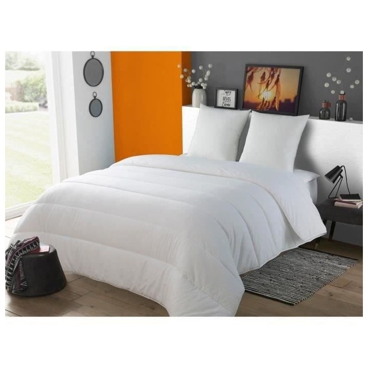 Couette tres chaude 450gr/m² Grands Froids - 240 x 260 cm - 100% Poly