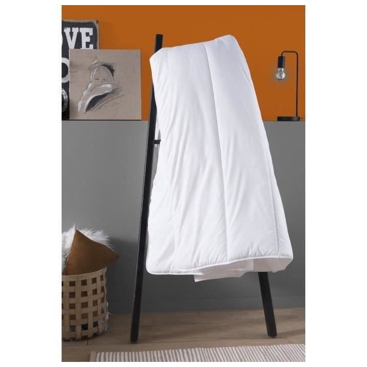 Couette tres chaude 450gr/m² Grands Froids - 240 x 260 cm - 100% Poly