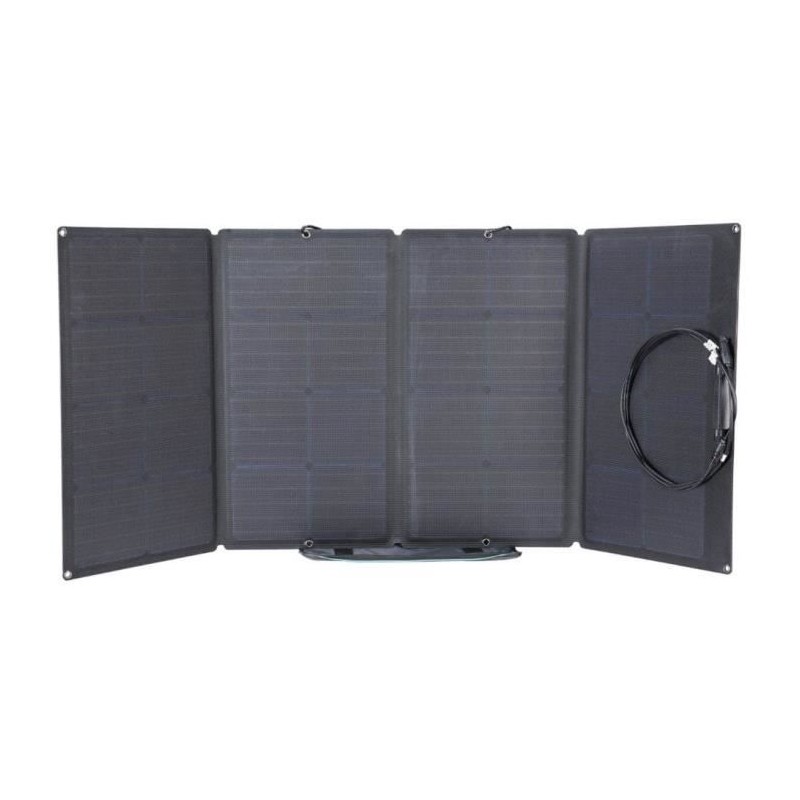 Panneau solaire 160W silicium monocristallin ECOFLOW IP68