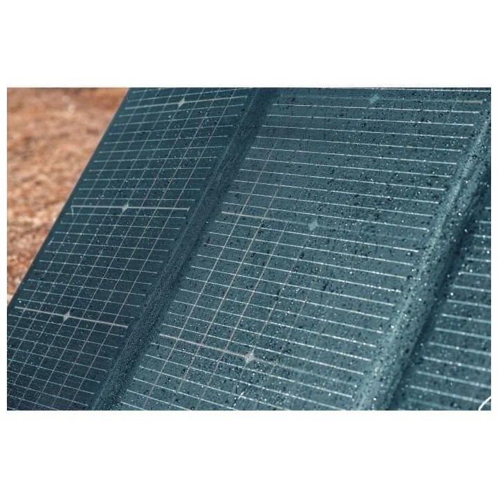 Panneau solaire 220W silicium monocristallin ECOFLOW IP68