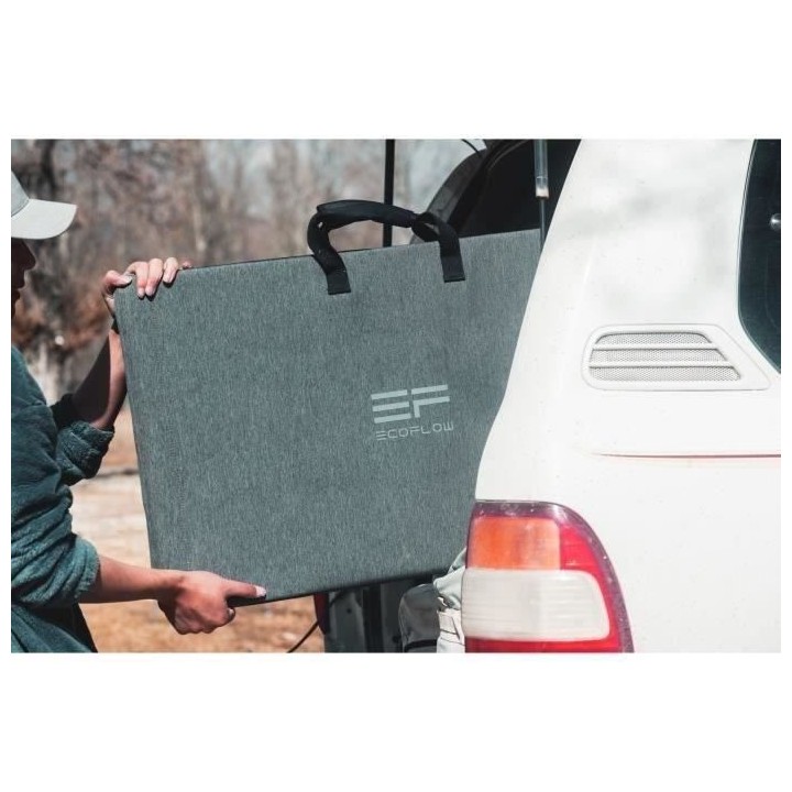 Panneau solaire 220W silicium monocristallin ECOFLOW IP68