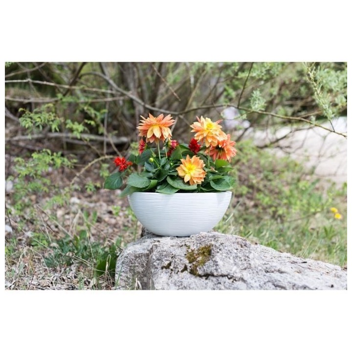 EDA Pot Vasque Graphit'UP Ø 25 cm - 3,3 L - Blanc cérusé