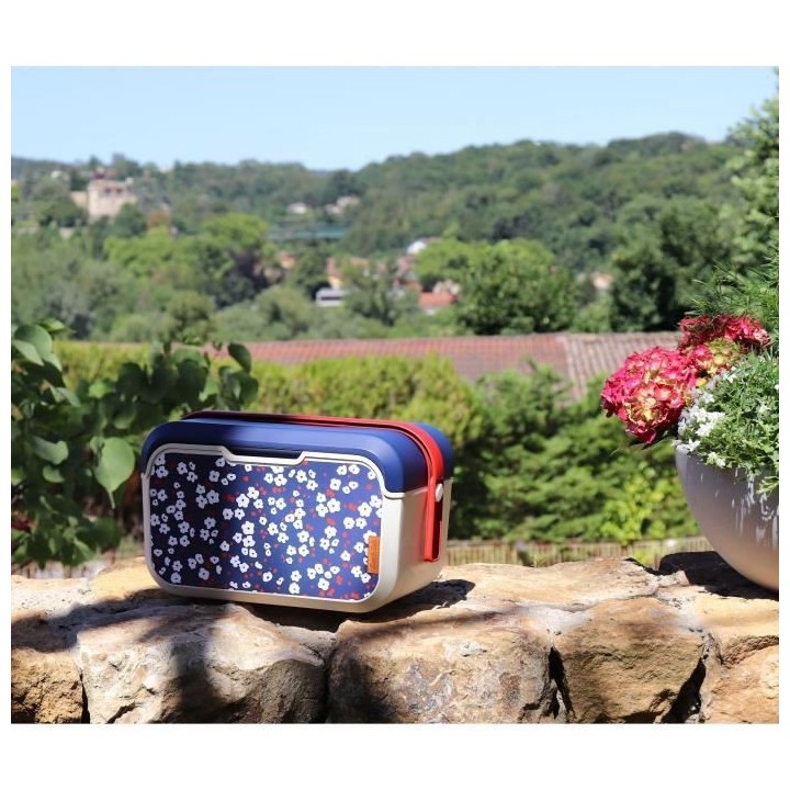 Lunch Cub - EDA - Cerisier 5L - Glaciere Isotherme Boite a Repas - Dé