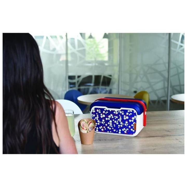 Lunch Cub - EDA - Cerisier 5L - Glaciere Isotherme Boite a Repas - Dé