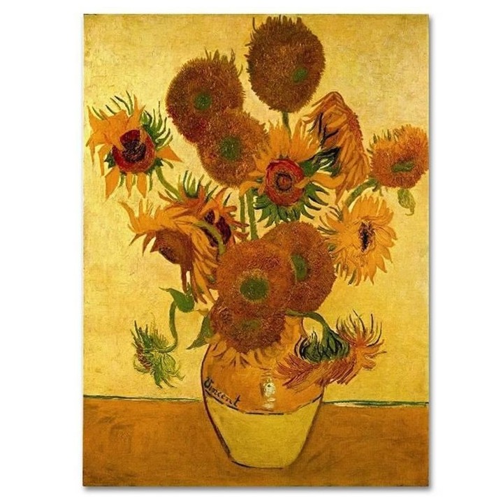 VAN GOGH - 2 puzzles de 1000 pieces