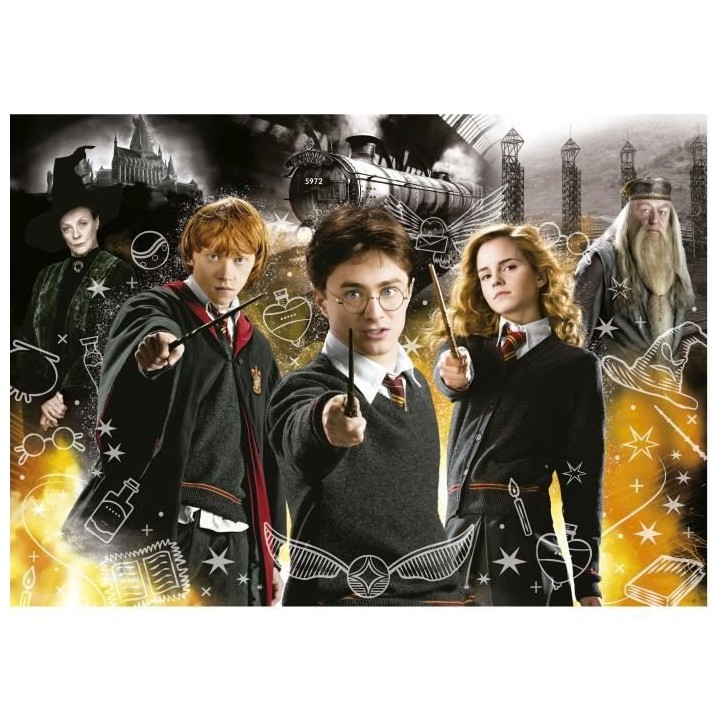 HARRY POTTER NEON PUZZLE 1 - Puzzle de 1000 pieces