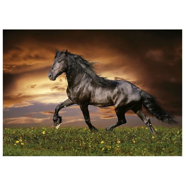 CHEVAL AU TROT - Puzzle de 1000 pieces