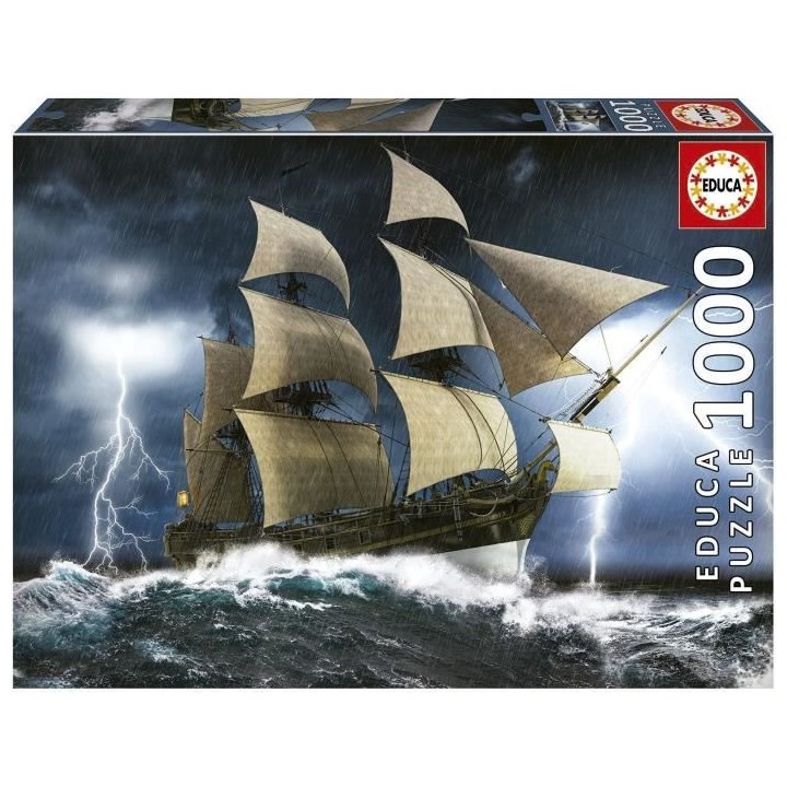 TEMPeTE PARFAITE - Puzzle de 1000 pieces