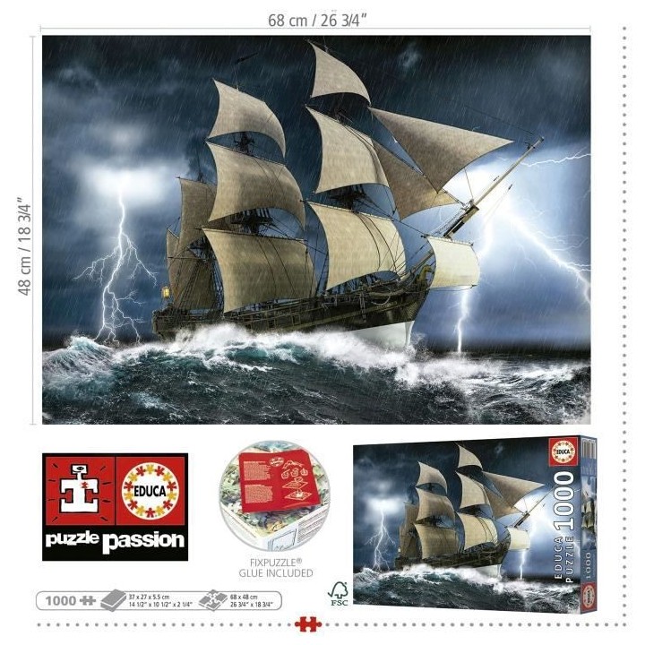 TEMPeTE PARFAITE - Puzzle de 1000 pieces