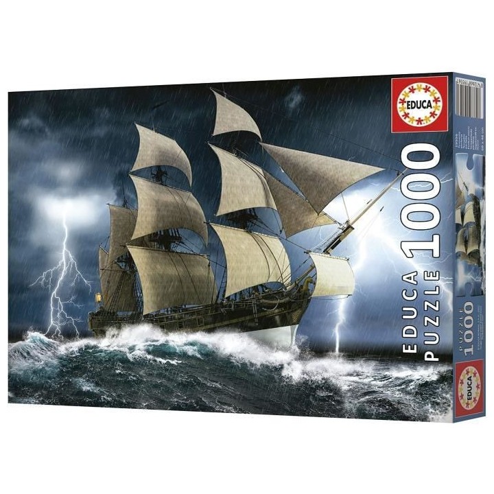 TEMPeTE PARFAITE - Puzzle de 1000 pieces