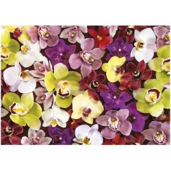 COLLAGE ORCHIDÉES - Puzzle de 1000 pieces