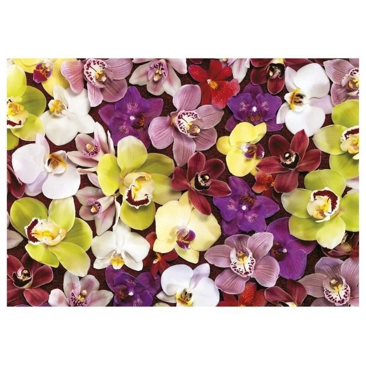 COLLAGE ORCHIDÉES - Puzzle de 1000 pieces