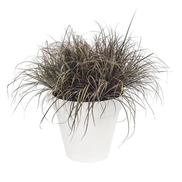 Pot de fleur Elho Plastique Rond Loft Urban Blanc Ø 50 x H.44 cm 48 l