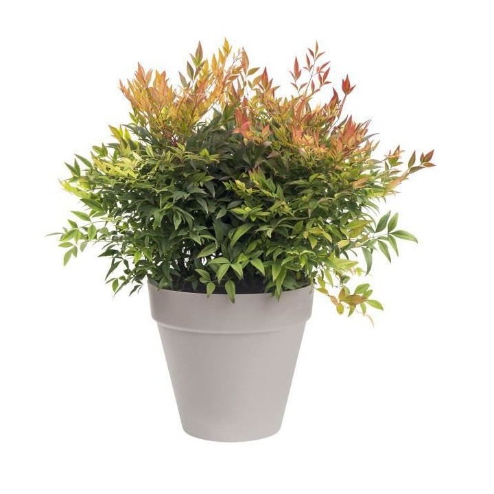 Pot de fleur Elho Plastique Rond Loft Urban Gris anthracite Ø 50 cm 4