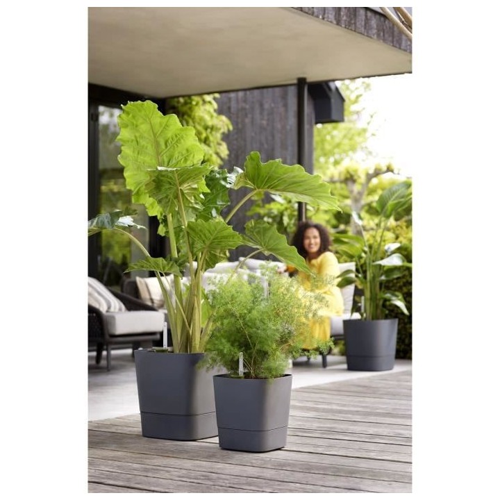 Pot de fleur Elho Plastique Carré Greensense Aqua Care Gris Charbon 3