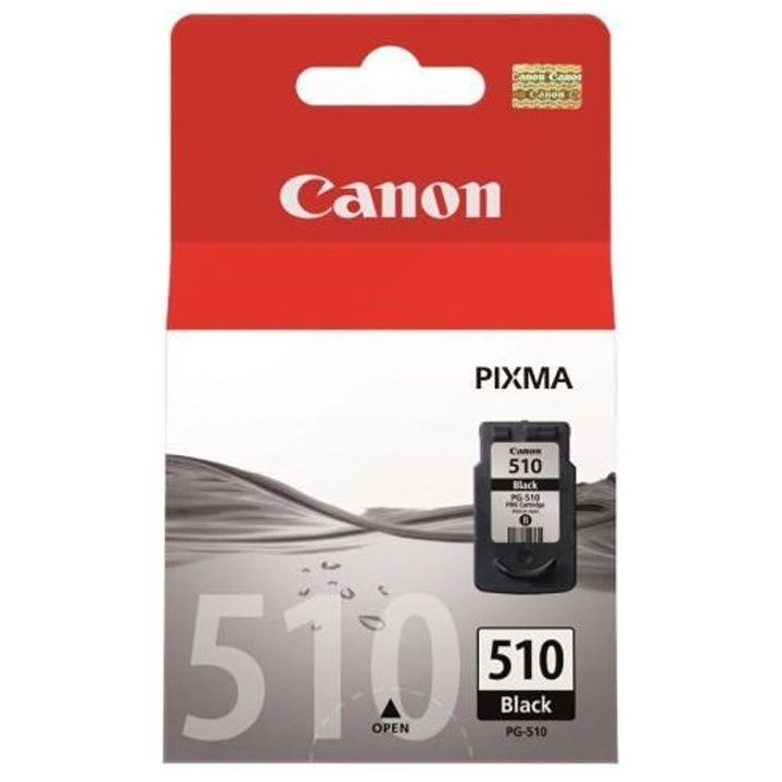 CANON Cartouche d'encre PG-510 Noir