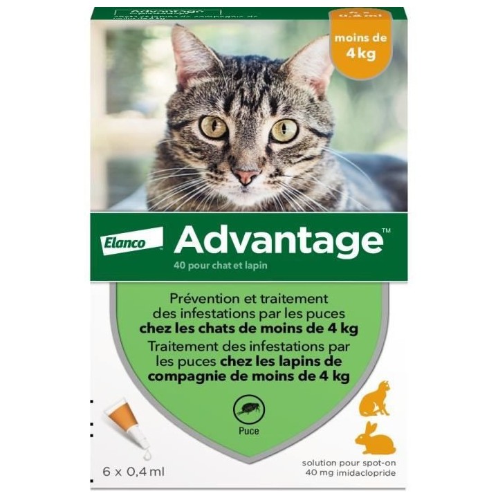 Advantage Solution Antipuce Chat Lapin 1 a 4kg 6 pipettes