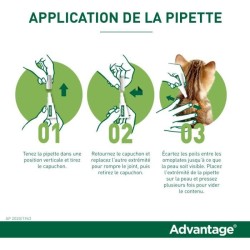 Advantage Solution Antipuce Chat Lapin 1 a 4kg 6 pipettes