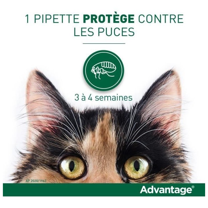 Advantage Solution Antipuce Chat Lapin 1 a 4kg 6 pipettes