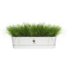 Planteur Ovale GREENVILLE - Plastique - Ø70 - Leaf Green