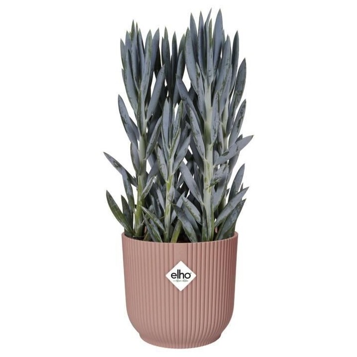 Pot De Fleurs Rond VIBES - Plastique - Ø22 - Rose poudré