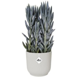 Pot De Fleurs Rond VIBES - Plastique - Ø22 - Blanc