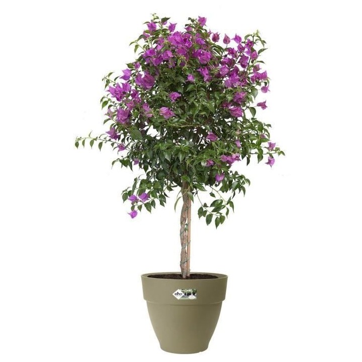 Pot De Fleurs Rond VIBIA - Plastique Réservoir - Ø35 - Vert