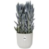 Pot De Fleurs Rond VIBES - Plastique - Ø25 - Blanc