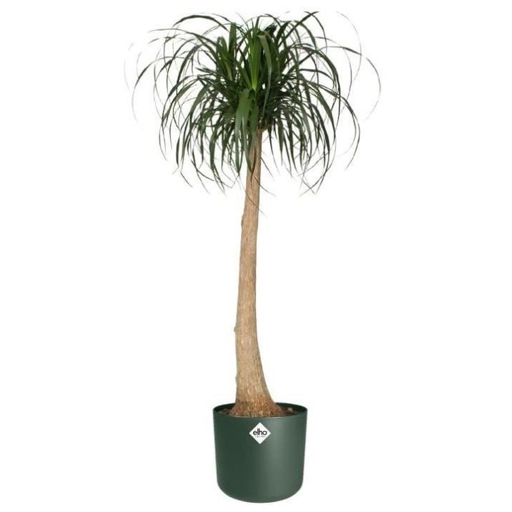 Pot De Fleurs Rond B.FOR - Plastique - Ø25 - Leaf Green