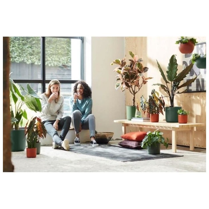 Pot De Fleurs Rond B.FOR - Plastique - Ø25 - Leaf Green