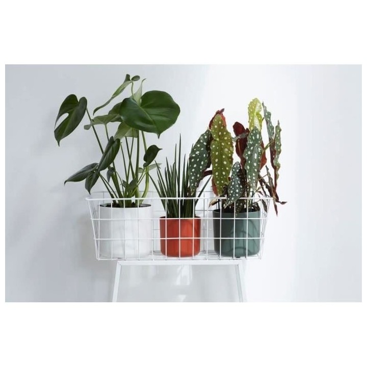 Pot De Fleurs Rond B.FOR - Plastique - Ø30 - Anthracite