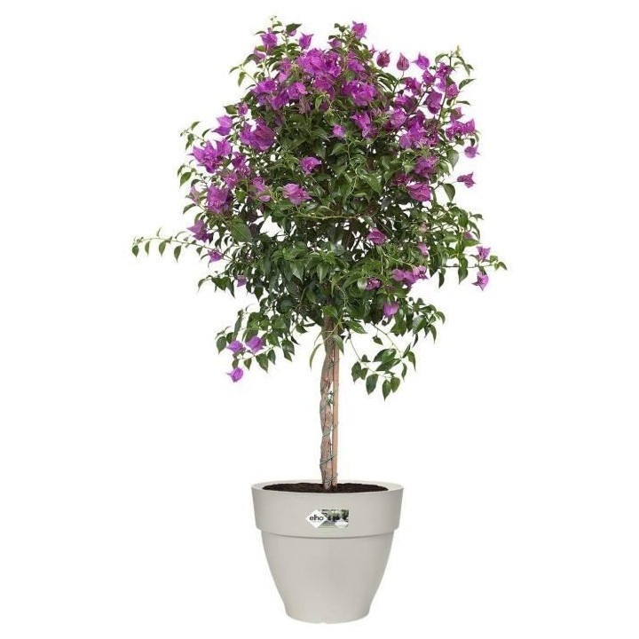 Pot De Fleurs Rond VIBIA - Plastique Réservoir - Ø40 - Blanc
