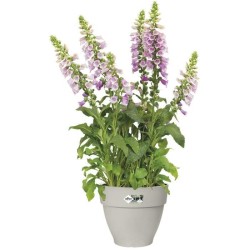 Pot De Fleurs Rond VIBIA - Plastique Réservoir - Ø40 - Blanc