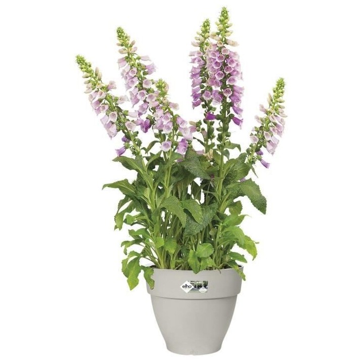 Pot De Fleurs Rond VIBIA - Plastique Réservoir - Ø40 - Blanc