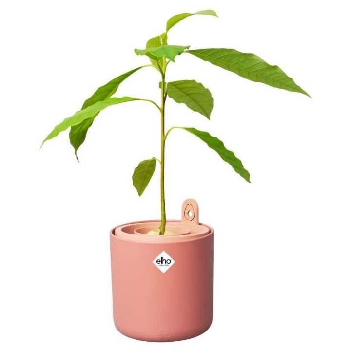 Pot De Fleurs Rond AMAZING AVOCADO - Plastique - Ø16 - Terra Caramel