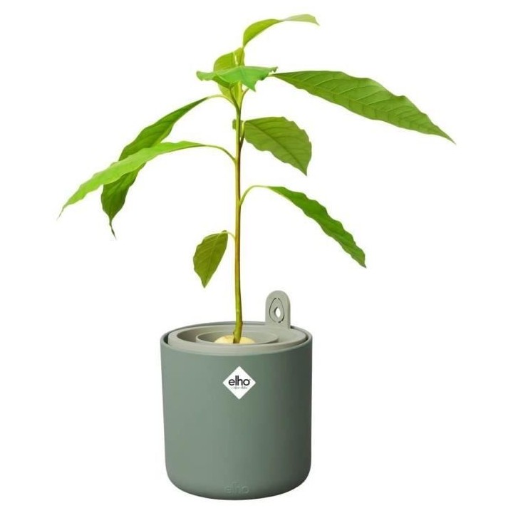 Pot De Fleurs Rond AMAZING AVOCADO - Plastique - Ø16 - Leaf Green