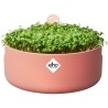 Pot De Fleurs Rond MAGIC MICROGREENS - Plastique - Ø16 - Terra Caramel