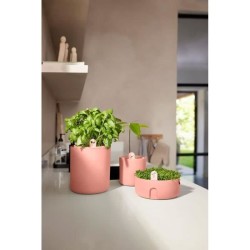 Pot De Fleurs Rond MAGIC MICROGREENS - Plastique - Ø16 - Terra Caramel