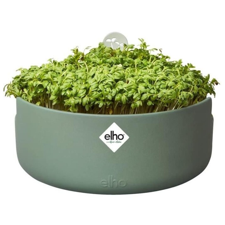 Pot De Fleurs Rond MAGIC MICROGREENS - Plastique - Ø16 - Leaf Green