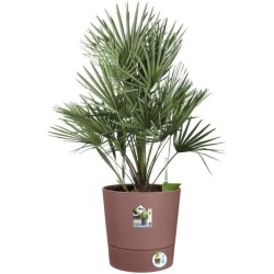 Pot De Fleurs Rond GREENSENSE AQUA CARE - Plastique Réservoir - Avec roulettes - Ø30 - Brun Argile