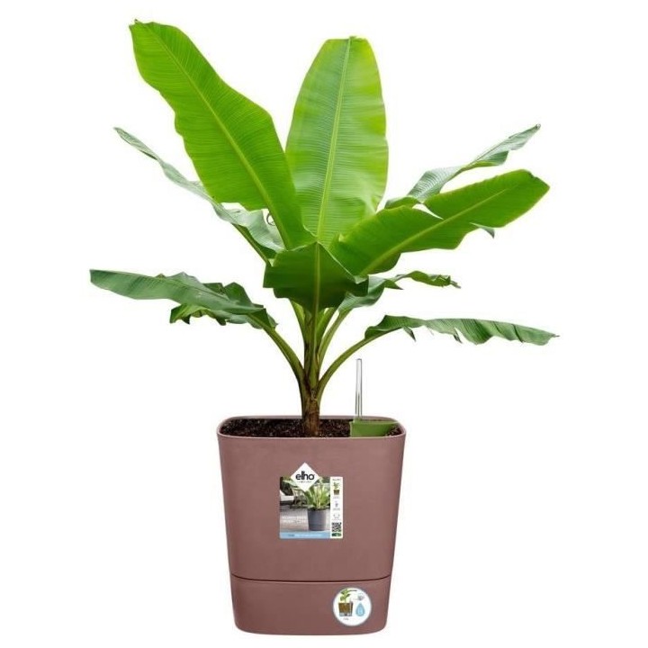 Pot De Fleurs Carré GREENSENSE AQUA CARE - Plastique Réservoir - Ave