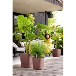 Pot De Fleurs Carré GREENSENSE AQUA CARE - Plastique Réservoir - Avec roulettes - Ø38 - Brun Argile