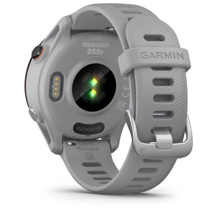 Montre connectée sport - GARMIN - Forerunner 255S - Grise