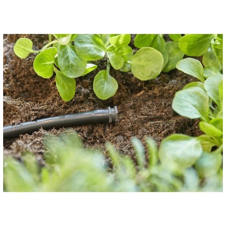 Bouchon 3/16 4.6mm. - 13215-20